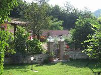 Summer - The pool area